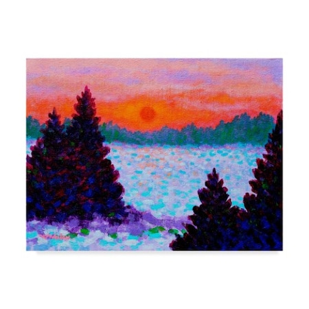 John Nolan 'Snowscape Pines' Canvas Art,18x24